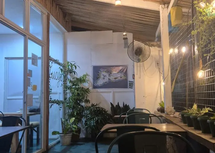 Lucy's Diner Cafe